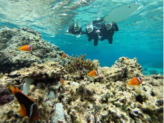 ����Ȃɂ�������̃N�}�m�~�ƈꏏ�Ɏʐ^���B��܂���!_LAULEA