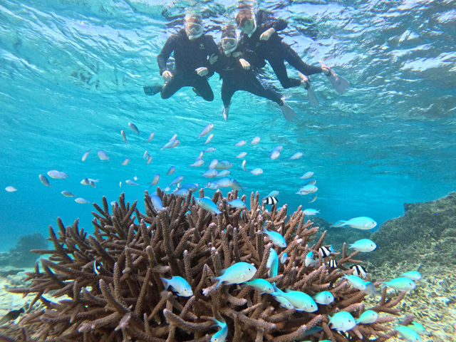 �{�Ó��Ȃ�J���~���Ă��Ă��A�V���m�[�P�����O�͖��Ȃ��y���߂܂��I_LAULEA