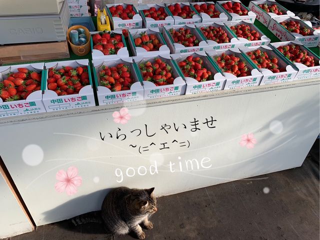 ���c��������