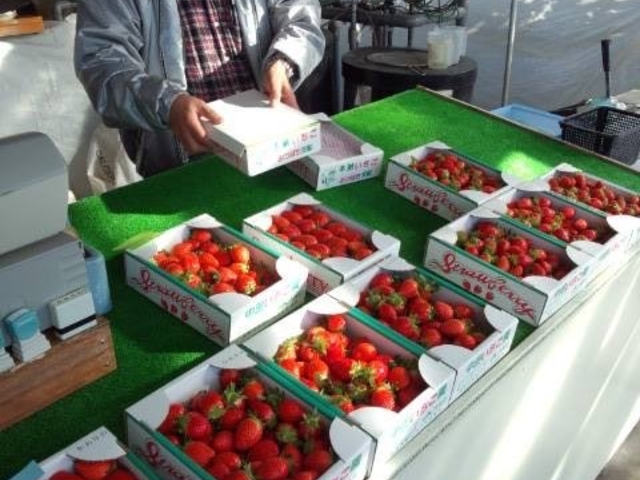 ���c��������