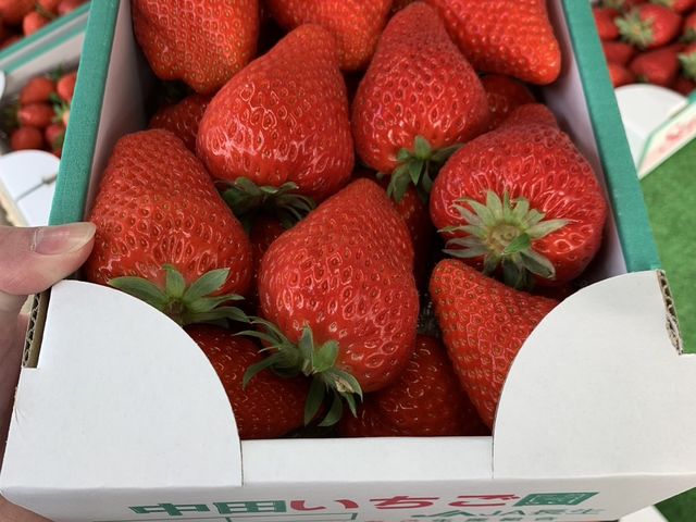 ���c��������