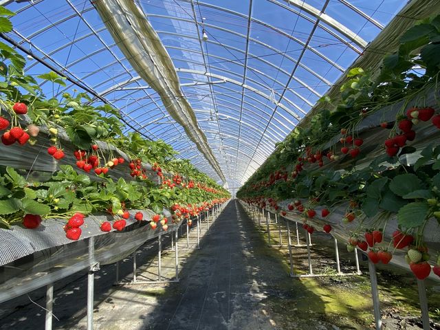 ���c��������