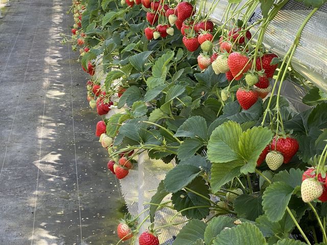 ���c��������