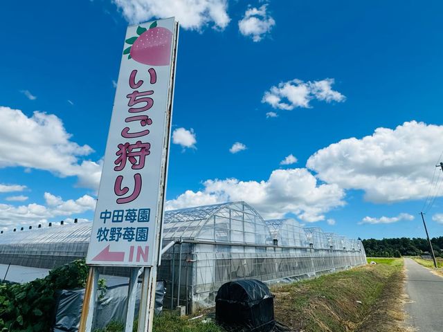 ���c��������