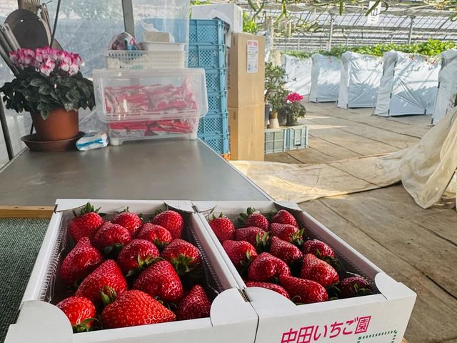 ���c��������