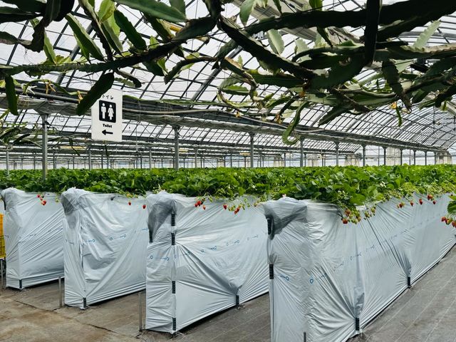 ���c��������