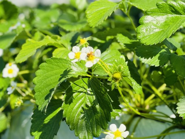 ���c��������