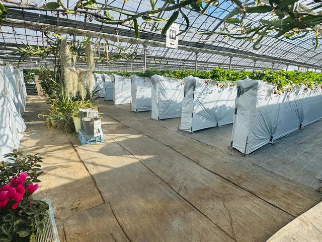 ���c��������