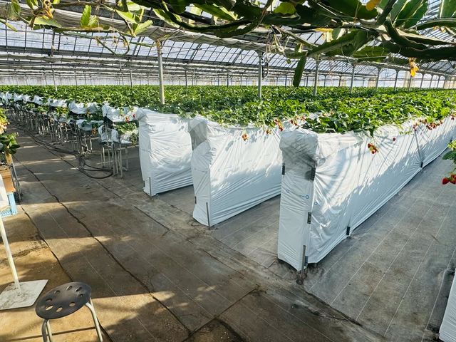 ���c��������