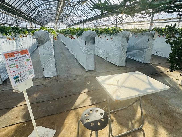 ���c��������