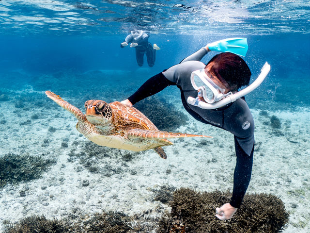 E~KƉǰꐶ̕󕨂ɁI_&SEA