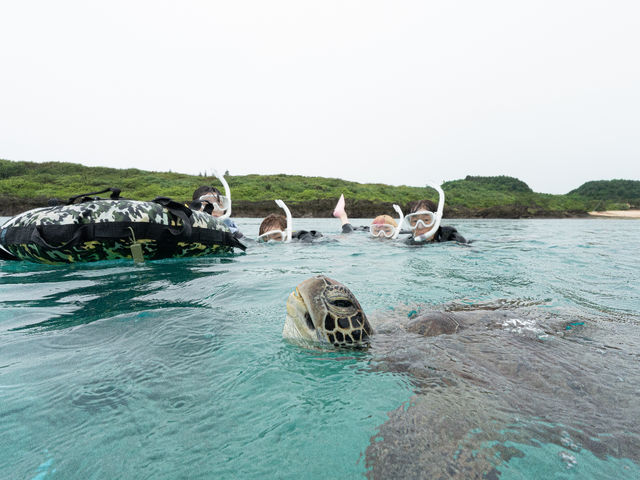 p̂Ƃ݂͂ȂŊoČĂ݂܂傤I_&SEA