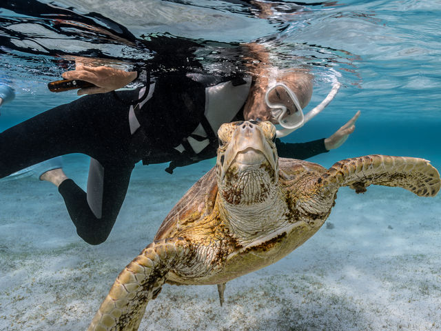 �E�~�K�������Ȃ��̂������΂ɁI_&SEA