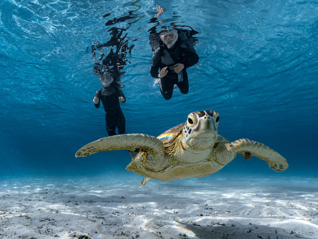 �E�~�K���Ƃ̋L�O�B�e�I_&SEA