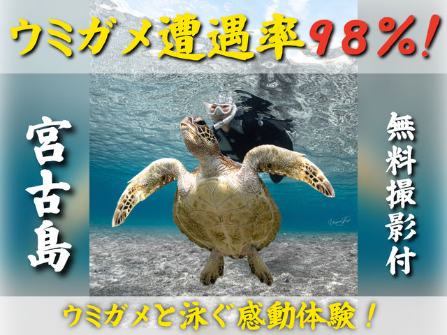 �D��ɉj���E�~�K���ƈꏏ�ɉj���܂��傤�I_&SEA