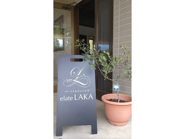 �p�[�\�i�������p�P�A elate LAKA�̎ʐ^1