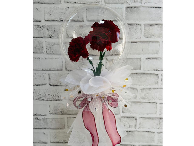 �t�����[�o���[���X�e�B�b�N��̓�_HIKIballoon�y���{�t�����[�o���[������z