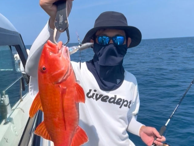 �{��V���D umizo