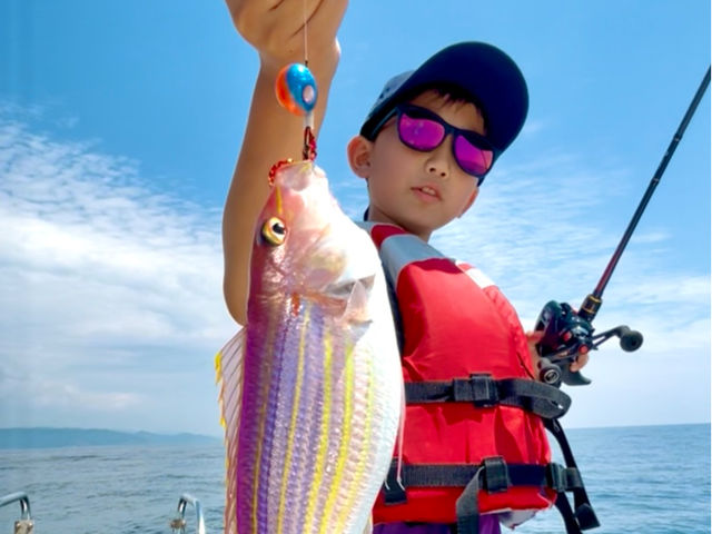 �{��V���D umizo