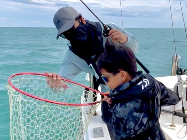 �{��V���D umizo