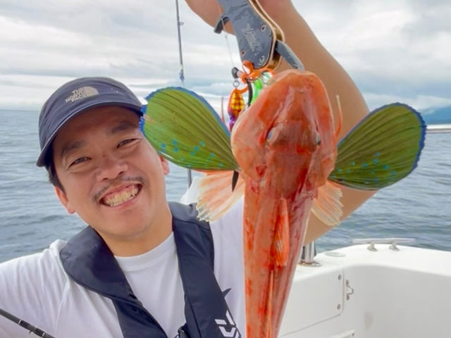 �{��V���D umizo