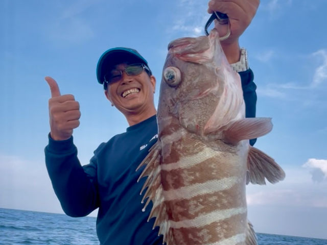 �{��V���D umizo