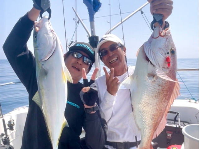 �{��V���D umizo