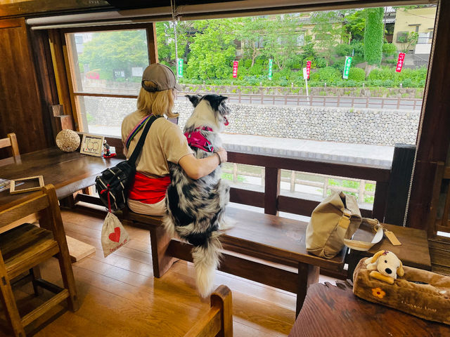 �ق����背�g���A�[�g�J�t�F