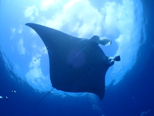 �`�����u���[�̎ʐ^1