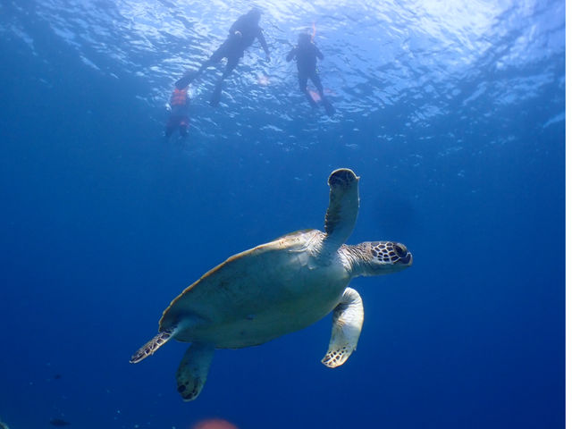 �E�~�K�����I_�`�����u���[