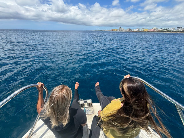 �ړ����ō��̃��]�[�g�C���I_ilifi