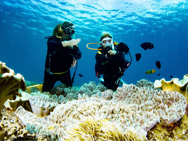 �������X����A�Ƃ��Ă��߂��Ō��鎖���o���܂�^_^_ilifi