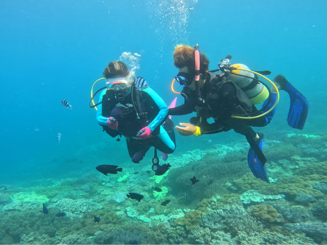 �D�����}�C���h�ɂ��ē��������܂��I_ilifi