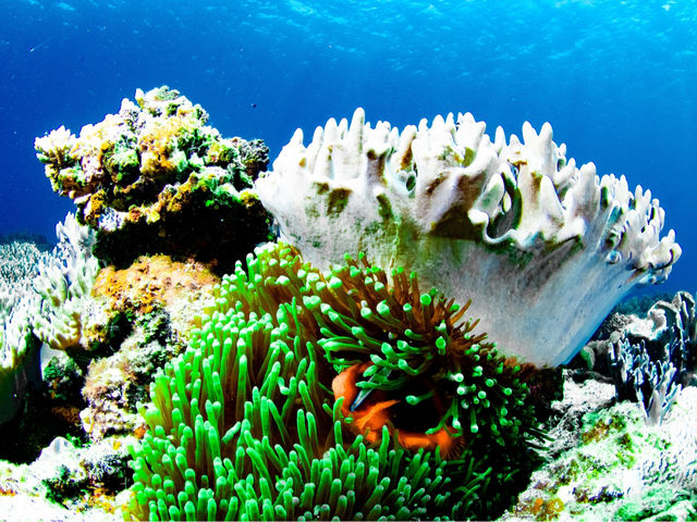 �j����A���G���̐��E�����ۂɍL�����Ă܂��I�I_ilifi