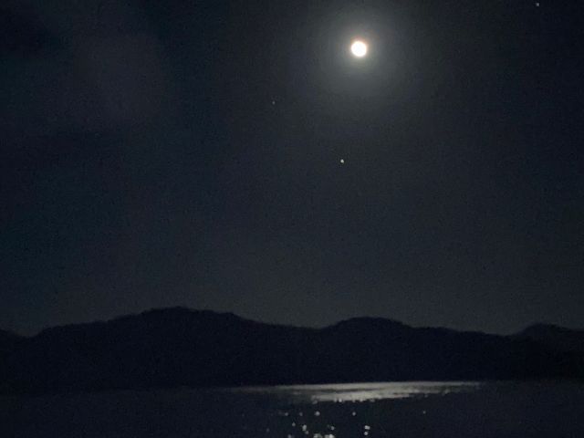 �C�㐯��N���[�W���O_GOTO�^���N���[�Y