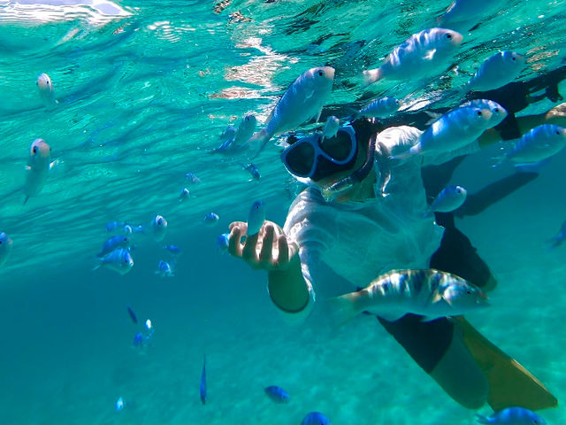 �Ί_���D�ނ�̌��~���M�}����