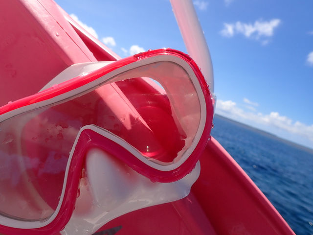 �Ί_���D�ނ�̌��~���M�}����