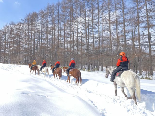 �\���|���V�������`