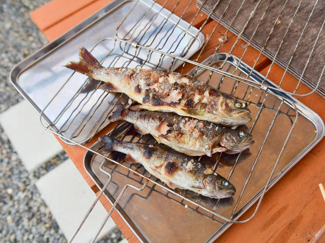 �ނ�x�����ݎ�聕BBQ ������ˁI