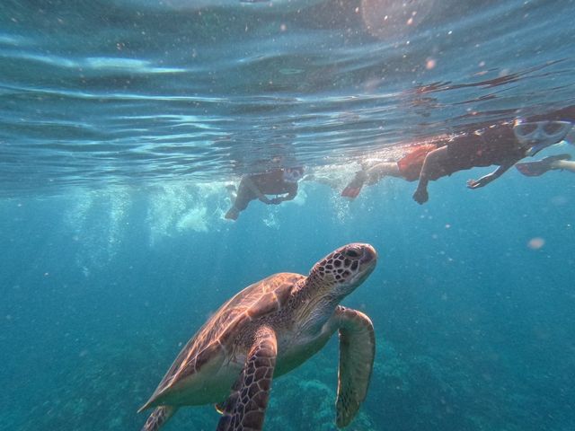 �}�����V���b�vHAPPY