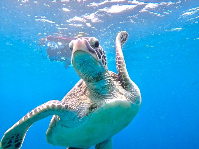 �}�����V���b�vHAPPY