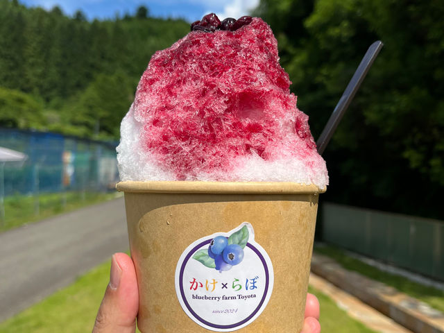 HׂlASƐ^Aӂӂu[x[X_u[x[_Toyota