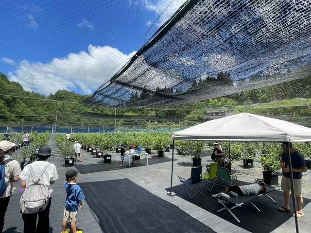 700{̃u[x[o}܂_u[x[_Toyota