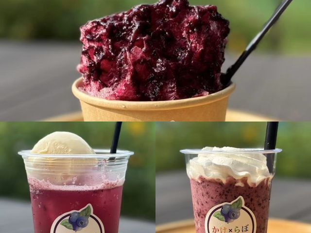 �u���[�x���[�������Ղ�g�����ґ�ȃX�C�[�c�ł�_�u���[�x���[���_��Toyota�������