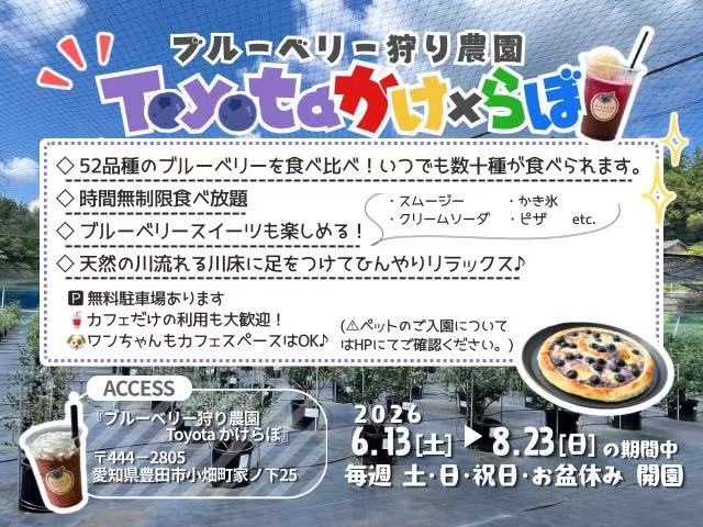 �u���[�x���[���_��Toyota������ڂ̎ʐ^1