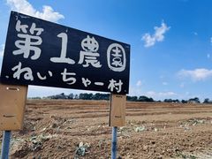 �˂�����[���̑̌��_���̎ʐ^1