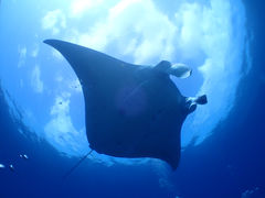 �`�����u���[�̎ʐ^1