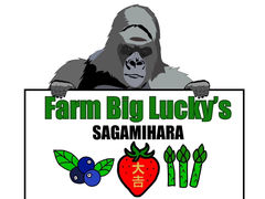 Farm Big Lucky'S̎ʐ^1