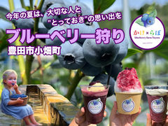 u[x[_Toyotaڂ̎ʐ^1