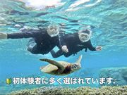 OCEAN LIFE�̎ʐ^2